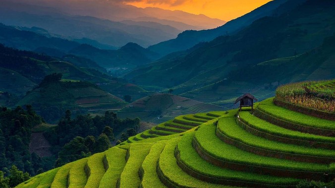 繁花落尽又天明