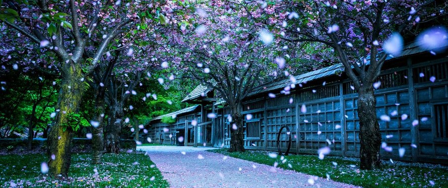 696969c大但人文艺术正道